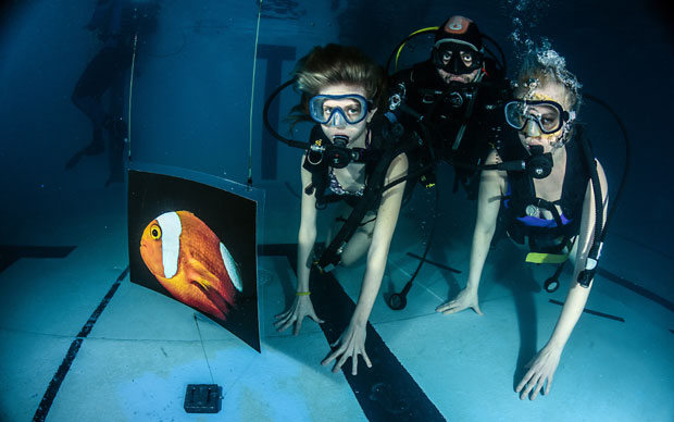 Тропска бића населила базен, да би видели фотографије посетиоци морали да зароне